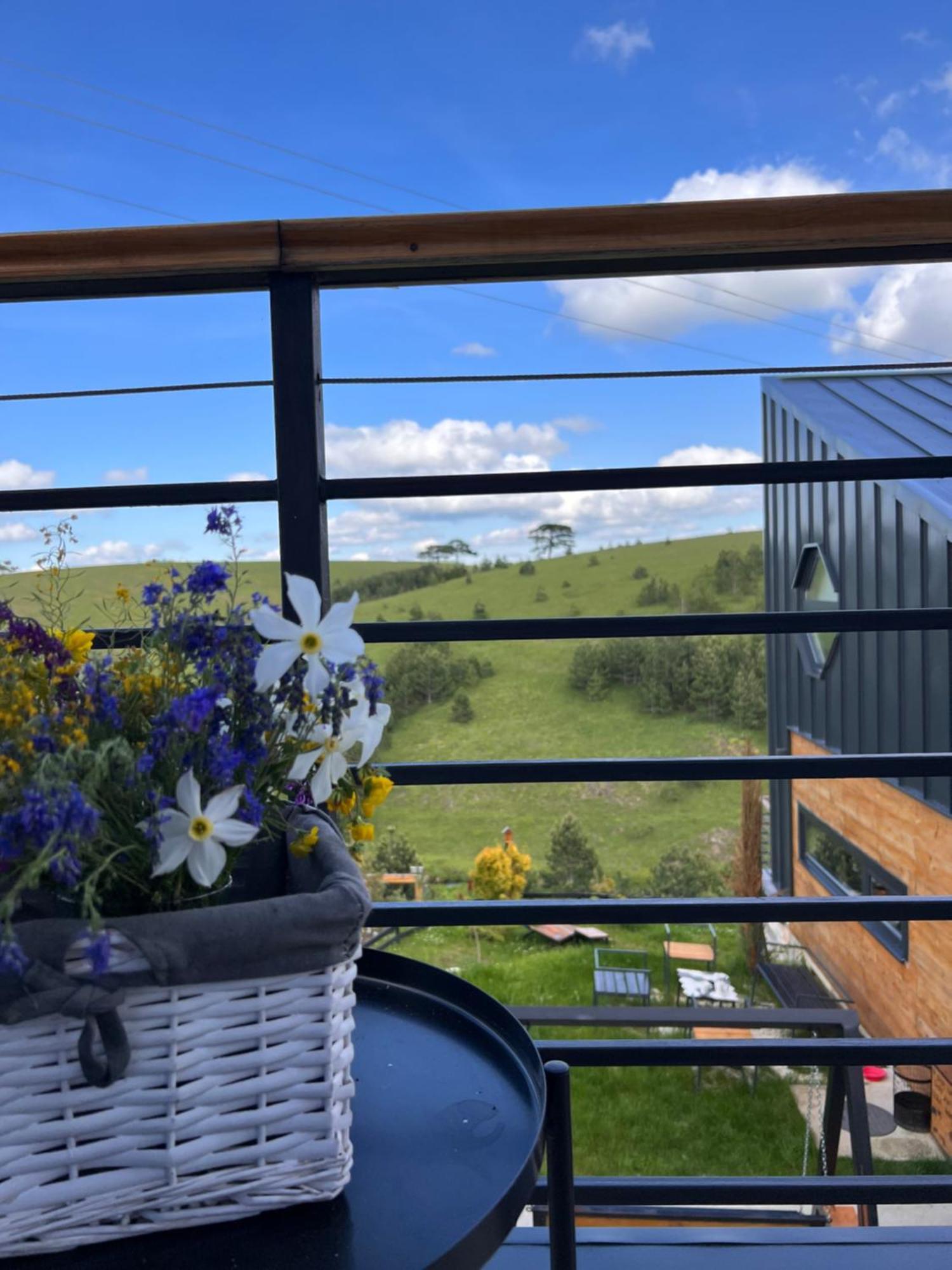 Wild Nest Zlatibor Bear Vila Exterior foto