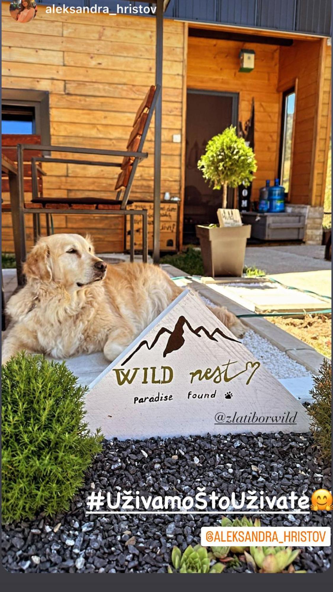 Wild Nest Zlatibor Bear Vila Exterior foto
